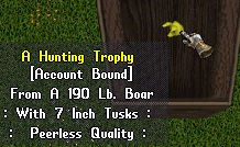 boartrophy.jpg