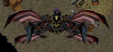 Cygnus Butterfly.JPG