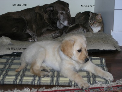The Family.jpg