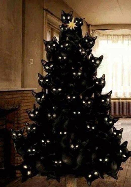 cattree.jpg