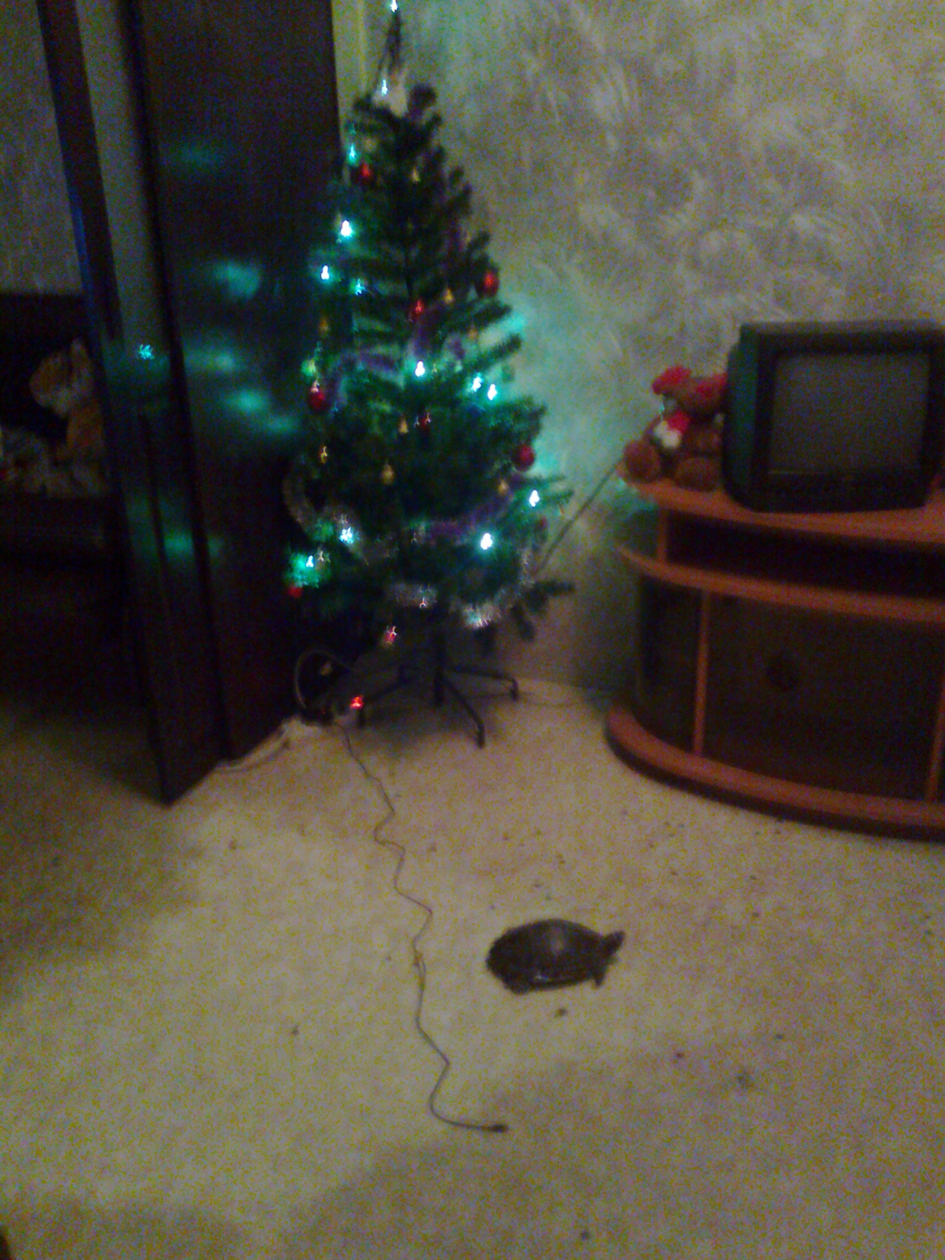 Christmas Tree with turtle:&gt;