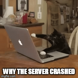 crash.gif