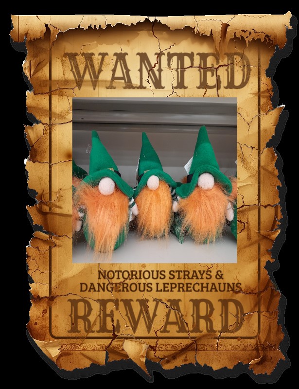 Leprechauns.jpg