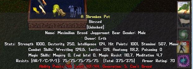 NotBear.jpg