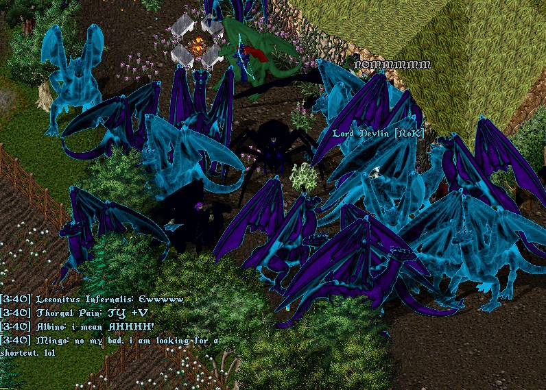 Dragons11.jpg