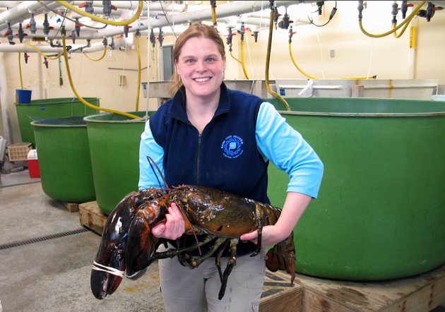 lobster.jpg