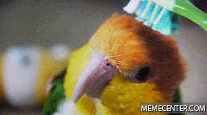 910168.gif