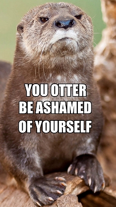You-Otter-Be-Ashamed.jpg