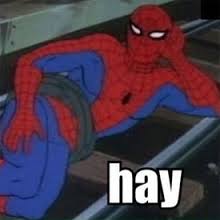spider2.jpg