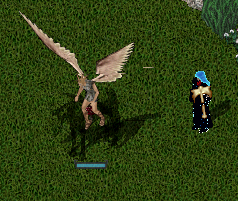 pony.PNG