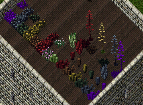 Decorative Plants - 01