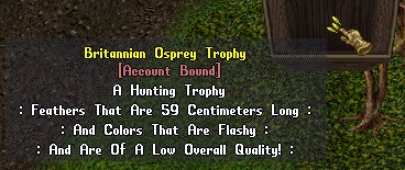 ospreyfeather.jpg