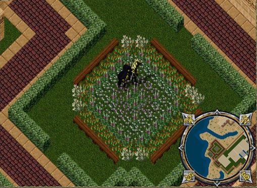 Nujelm Garden.JPG