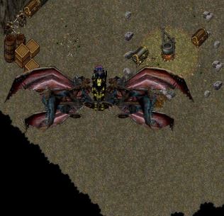 A Dungeon Butterfly