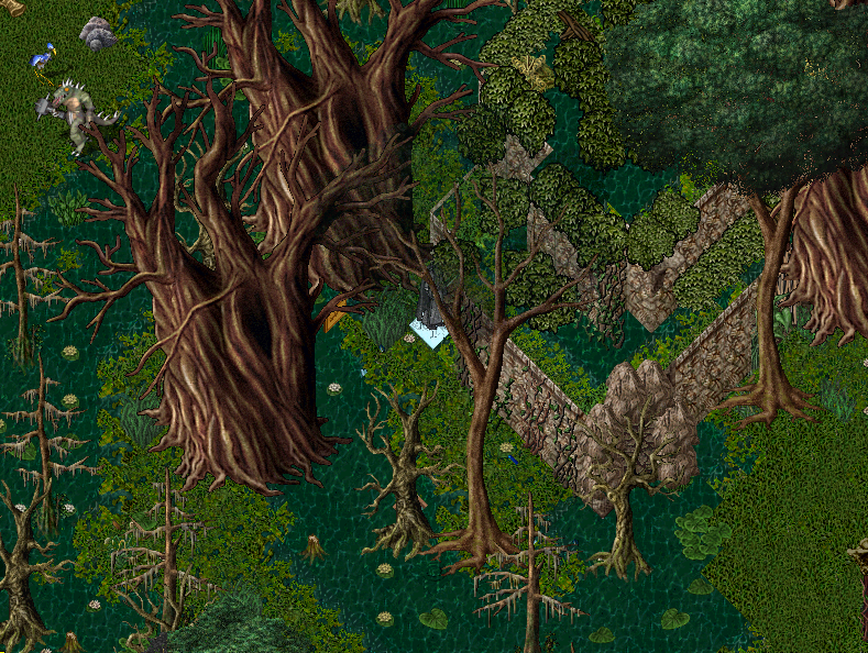 outside in the swamps