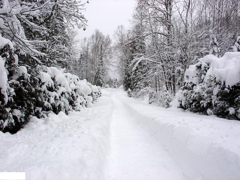 sentier_de_neige.jpg