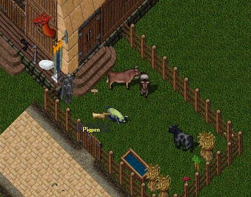 boar.jpg