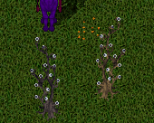 eyeballtree.png