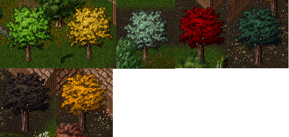 trees.PNG