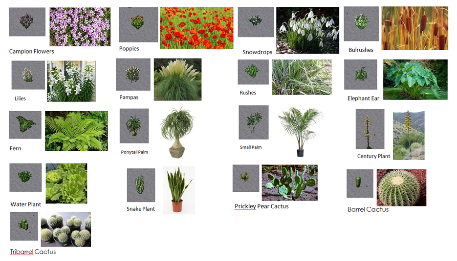 Uo plants vs Real Life plants.PNG