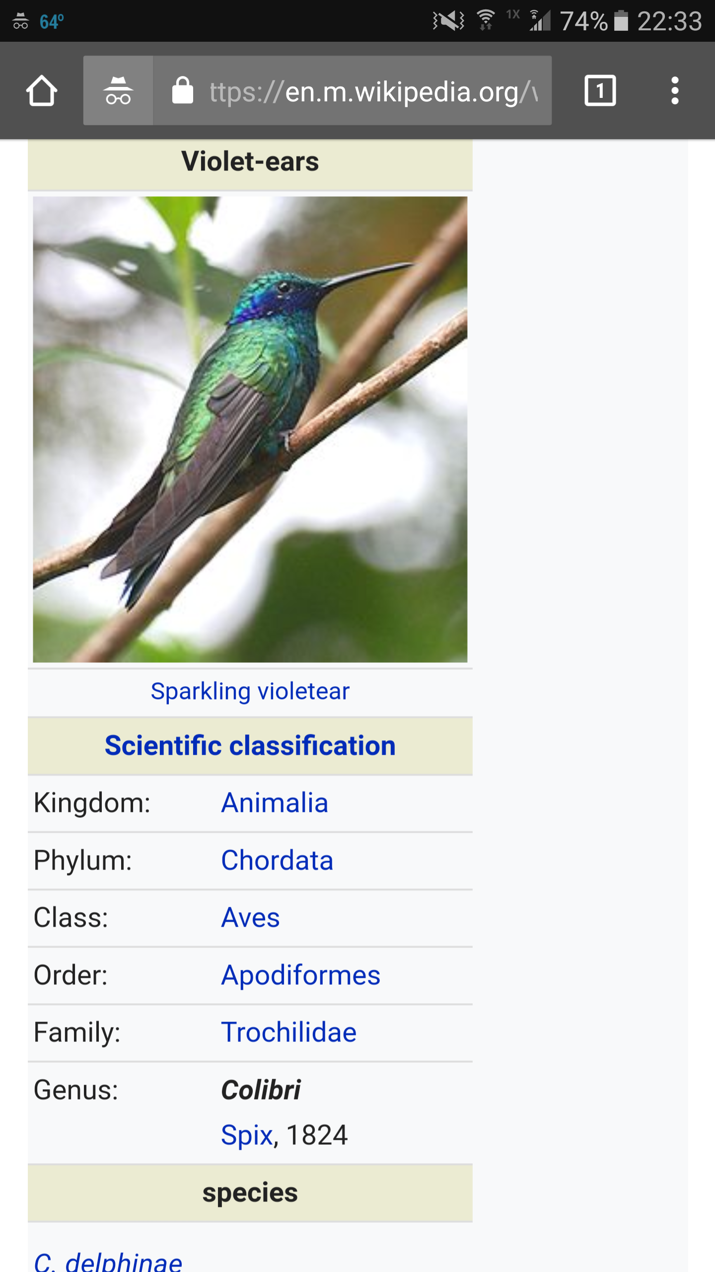 +Colibri@uoex.net in real life