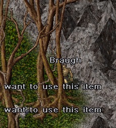 braugh.jpg