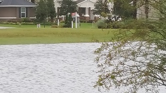 Lake behind the house