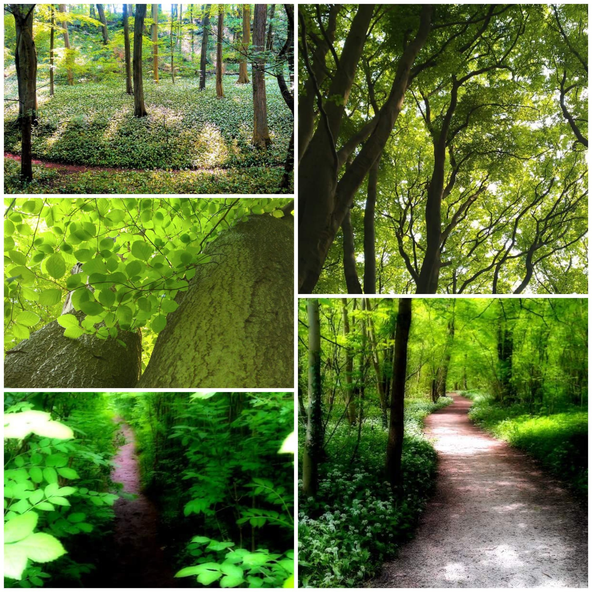 PicsArt_12-05-08.38.58.jpg