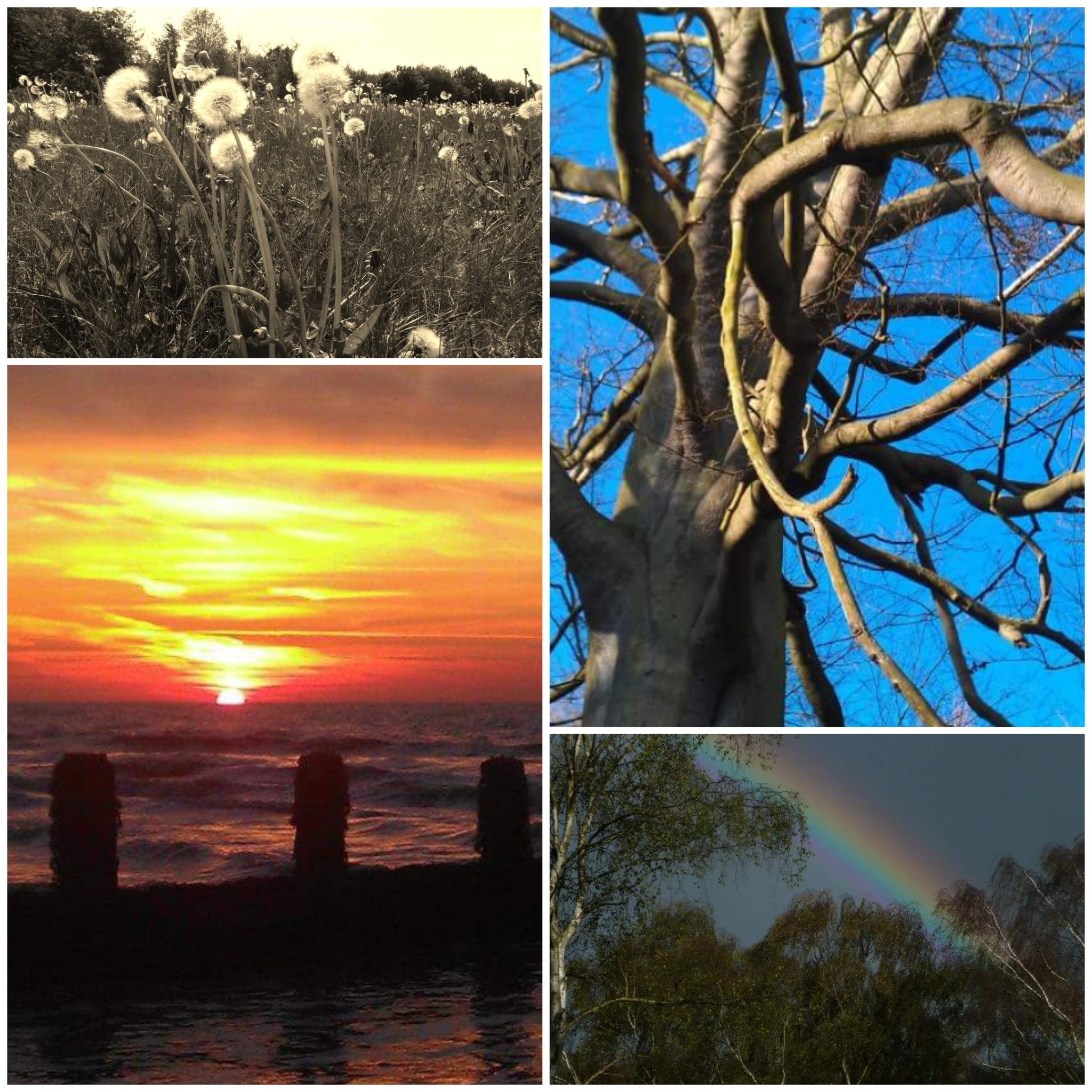 PicsArt_12-05-08.40.10.jpg