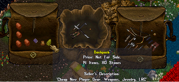 Cheap new player gear.png