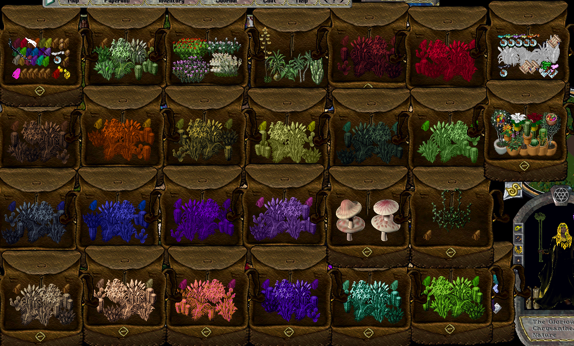 TC vendor.PNG