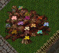 cookie tree.PNG