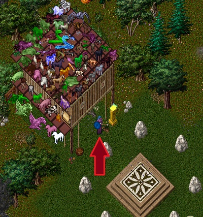 vendor.jpg