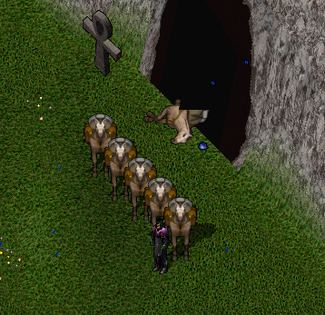 Lost one of the good ones... lucky the boxes of loot he carried were empty...