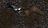 a Scumbuss gravely wounded me and killed my horse