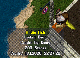 areallybigfish.png