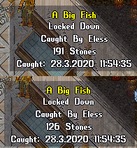 double_big_fish.png