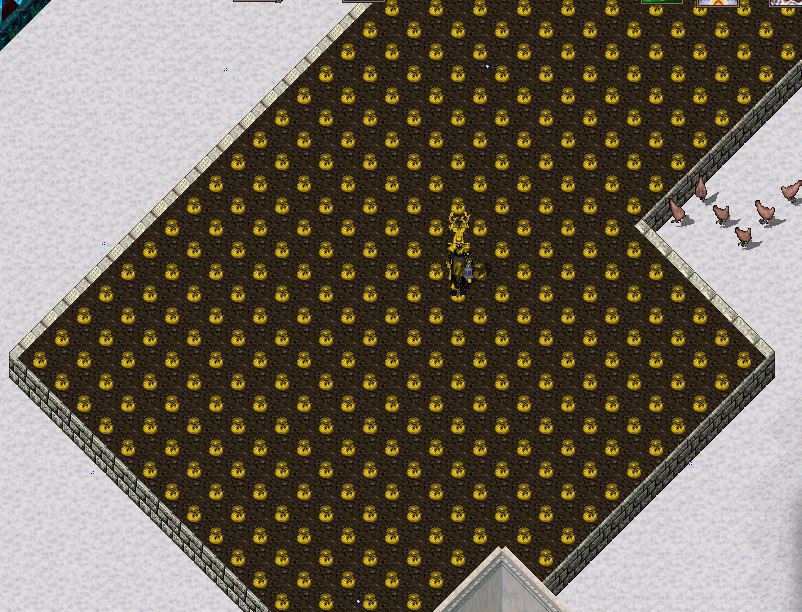 house 2.JPG