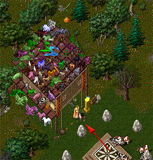 britain-vendor.jpg