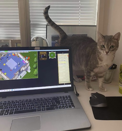 Meta helping me work on UO
