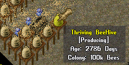 oldhives.jpg