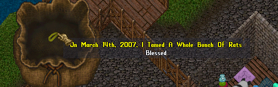 2007 sash.png