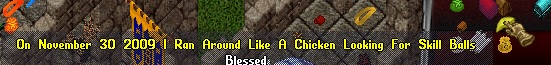 chicken suit.jpg