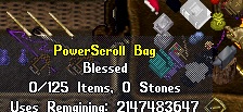 PS Bag.jpg