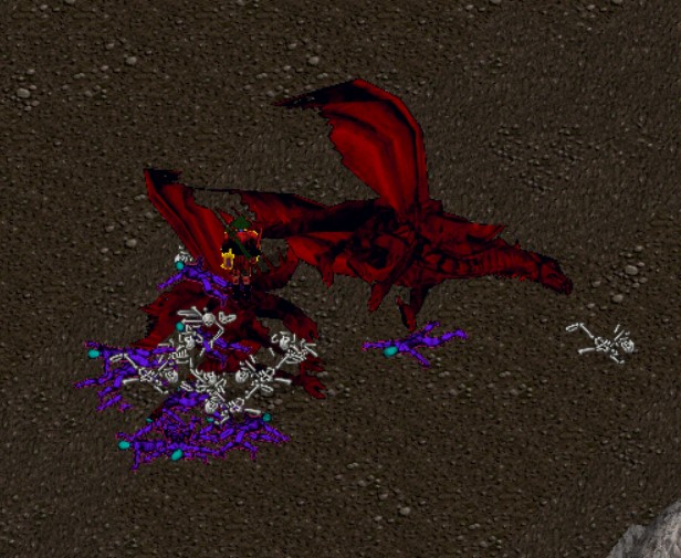 MuthantiarNoPetsChallenge.jpg