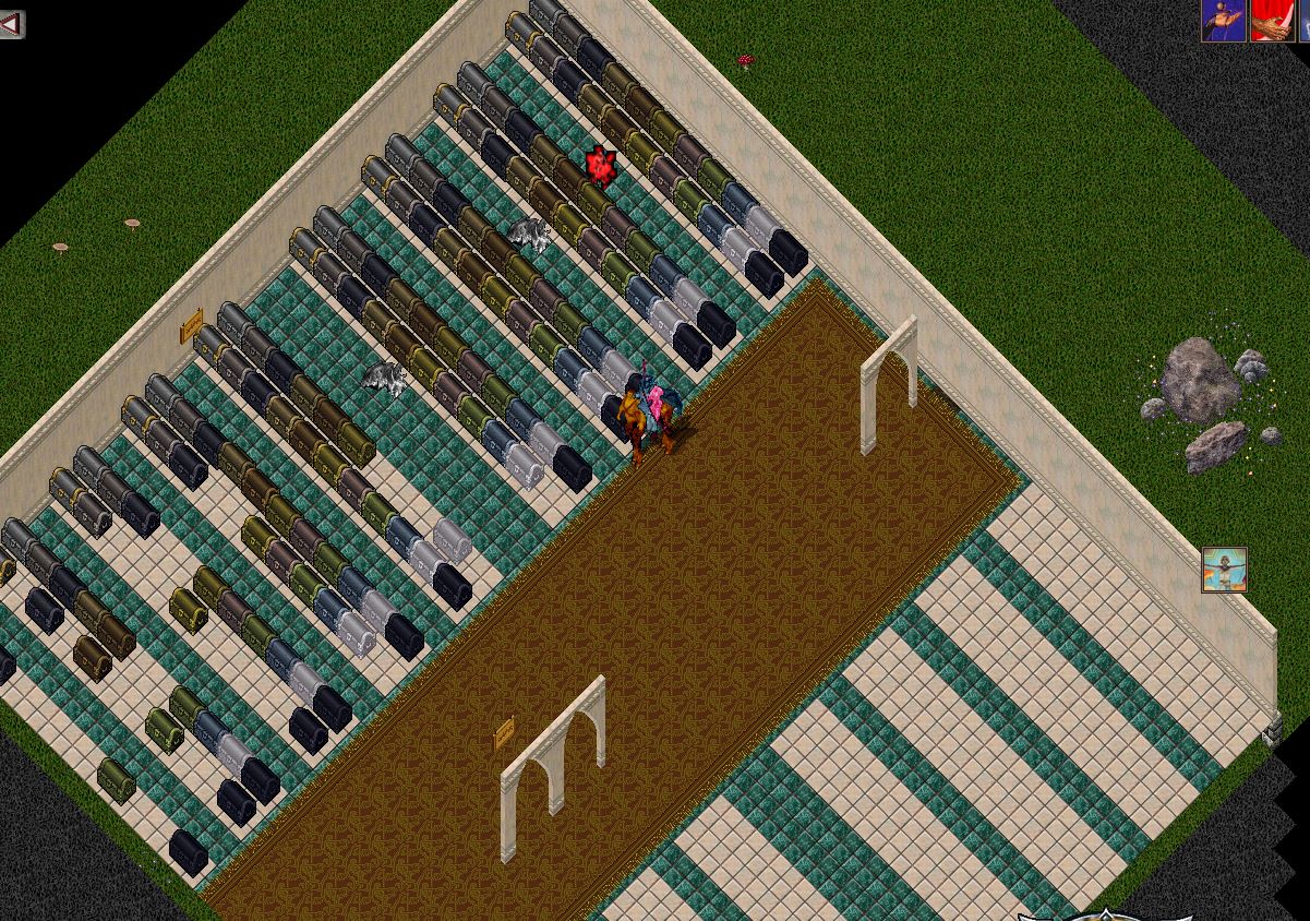 chest 3.JPG