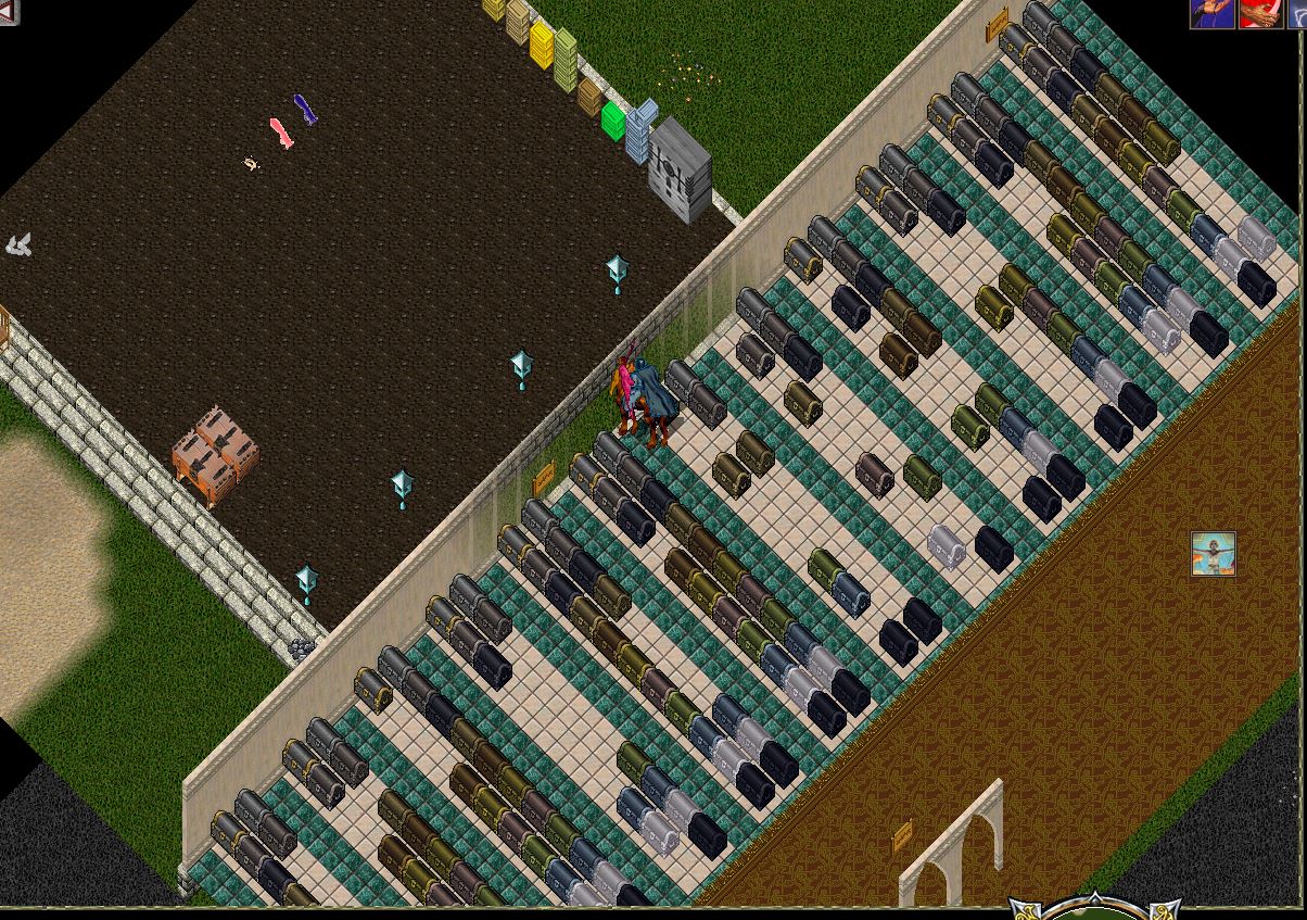 chest 1.JPG