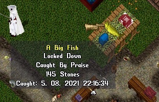 Big Fish.jpg