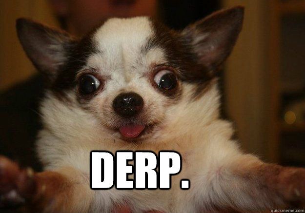 3f9d96a24f2762b55be25f5733681140--google-search-puppies.jpg