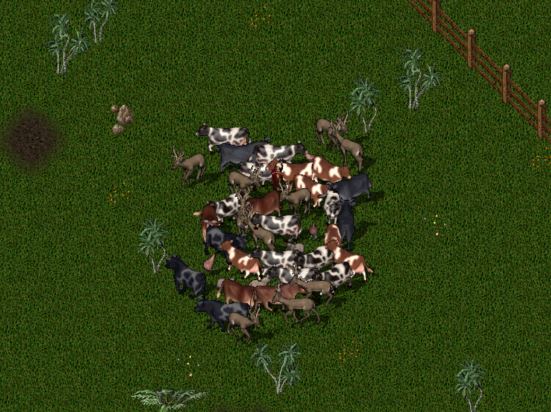 odd.JPG
